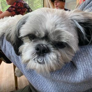 Meet your Posher, Tara